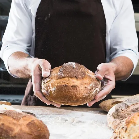 Elefantino Grey - Free Brunch & Breakfast Until 13-00 - Vicinissimi A Mirabilandia Hotel