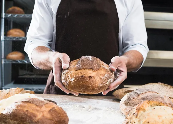 Elefantino Grey - Free Brunch & Breakfast Until 13-00 - Vicinissimi A Mirabilandia Otel