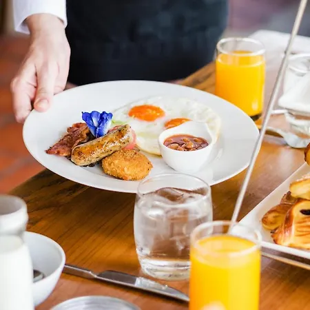 Hotel Elefantino Grey - Free Brunch & Breakfast Until 13-00 - Vicinissimi A Mirabilandia Milano Marittima