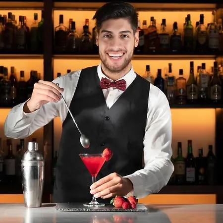 Elefantino Grey - Free Brunch & Breakfast Until 13-00 - Vicinissimi A Mirabilandia