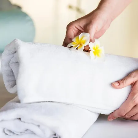 Ξενοδοχείο Elefantino Grey - Free Brunch & Breakfast Until 13-00 - Vicinissimi A Mirabilandia