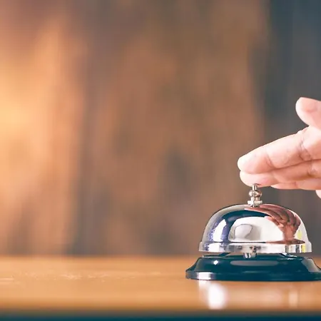 Elefantino Grey - Free Brunch & Breakfast Until 13-00 - Vicinissimi A Mirabilandia