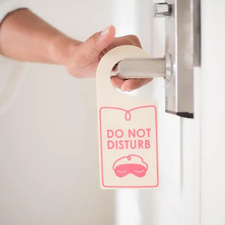 Elefantino Grey - Free Brunch & Breakfast Until 13-00 - Vicinissimi A Mirabilandia 3*