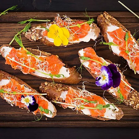 Elefantino Grey - Free Brunch & Breakfast Until 13-00 - Vicinissimi A Mirabilandia Milano Marittima