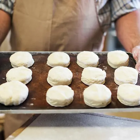 Elefantino Grey - Free Brunch & Breakfast Until 13-00 - Vicinissimi A Mirabilandia Ξενοδοχείο