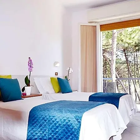 Elefantino Grey - Free Brunch&breakfast Until 13-00 - Vicinissimi A Mirabilandia 3*