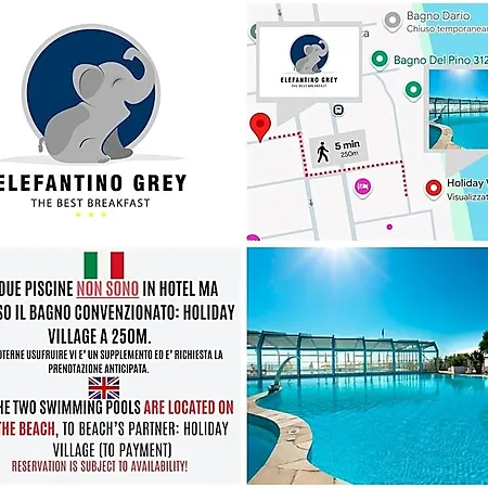 Elefantino Grey - Free Brunch&breakfast Until 13-00 - Vicinissimi A Mirabilandia 3*