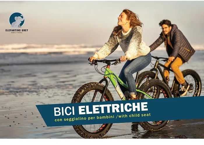 Elefantino Grey - Free Brunch & Breakfast Until 13-00 - Vicinissimi A Mirabilandia Hotel