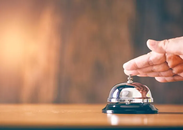 Elefantino Grey - Free Brunch & Breakfast Until 13-00 - Vicinissimi A Mirabilandia