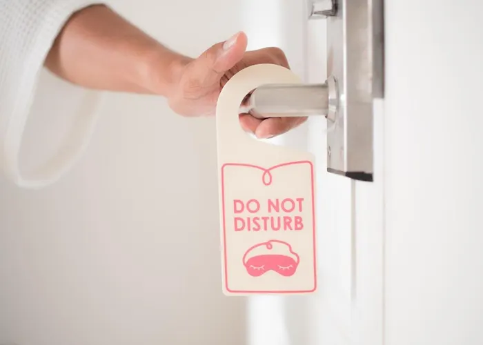 Elefantino Grey - Free Brunch & Breakfast Until 13-00 - Vicinissimi A Mirabilandia 3*