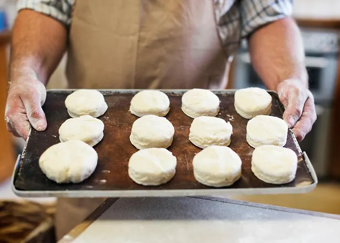 Elefantino Grey - Free Brunch & Breakfast Until 13-00 - Vicinissimi A Mirabilandia Ξενοδοχείο